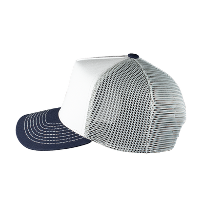 TEXAS WHITE/GRAY/BLUE