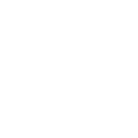 RoyCaps Custom